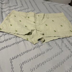 Abercrombie & Fitch Light Green Women's Cargo Shorts